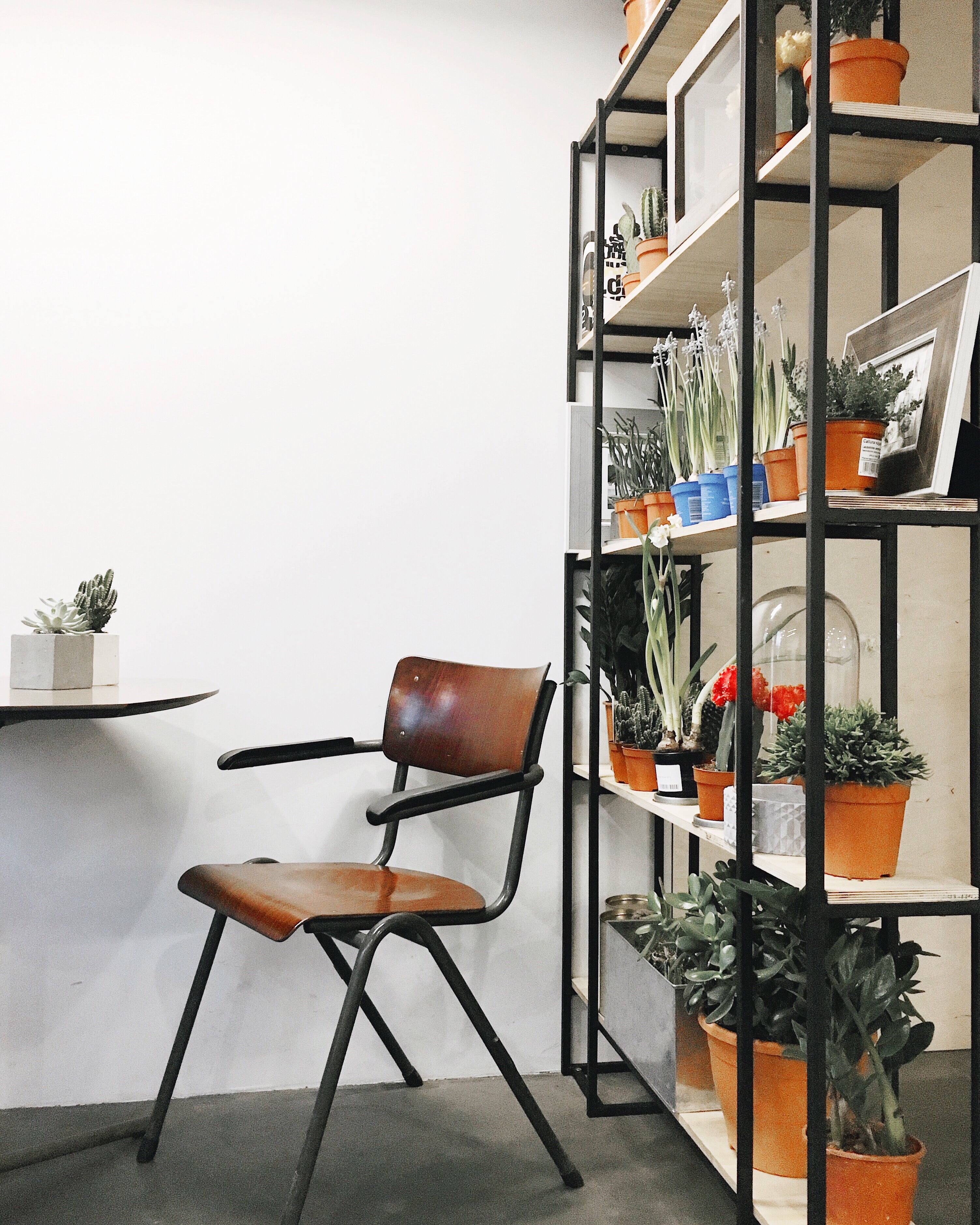 Möbel für Mieter: Stilvolle und stressfreie Auswahl für Ihre Mietwohnung